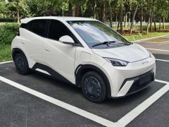 BYD Seagull Glory Edition 305km Vitality Version - ფოტო 3
