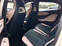 BYD Seagull Glory Edition 305km Vitality Version - ფოტო 8