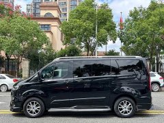 Ford Watson Wilford Black Warrior 2.0T Gasoline Peak Edition - ფოტო 7
