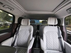 Buick GL8 Avenir Six-Seater Wisdom Courtesy Edition - ფოტო 10