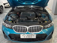 BMW 3 Series 320Li M Sport Package - ფოტო 15