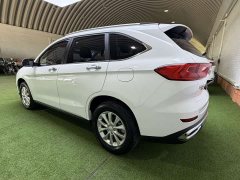 Haval M6 PLUS 1.5T DCT Luxury Smart Connected Edition - ფოტო 6