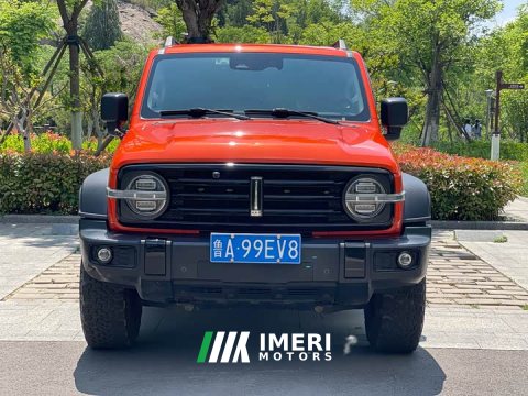 2021 Tank 300 Off-Road Edition 2.0T Challenger - ავტომობილი ჩინეთიდან