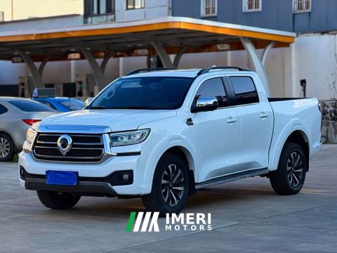 2023 Great Wall Cannon 2.0T Passenger Automatic Diesel 4WD Premium GW4D20M
