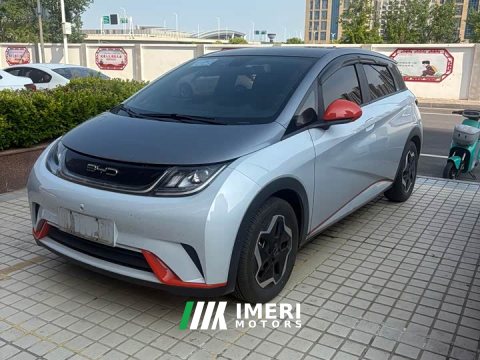 2022 BYD Dolphin 405km Fashion Edition - ავტომობილი ჩინეთიდან