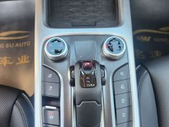 Tank 300 Off-Road Edition 2.0T Conqueror - ფოტო 10