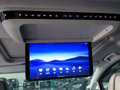 Buick GL8 Luzun Respect Edition - ფოტო 9