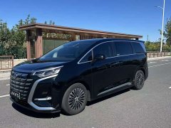 Denza BYD Denza D9 DM-i 970 Luxury - ფოტო 1
