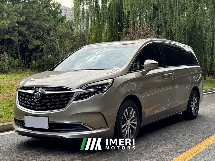 Buick GL8 ES Luxe 653T Comfort - ავტომობილი ჩინეთიდან