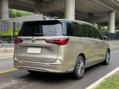 Buick GL8 ES Luxe 653T Comfort - ფოტო 15