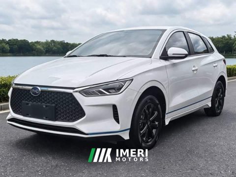 2022 BYD e2 2021 Mobility Edition - ავტომობილი ჩინეთიდან