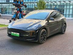 Tesla Model Y Long Range All-Wheel Drive - ფოტო 1