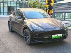 Tesla Model Y Long Range All-Wheel Drive - ფოტო 3