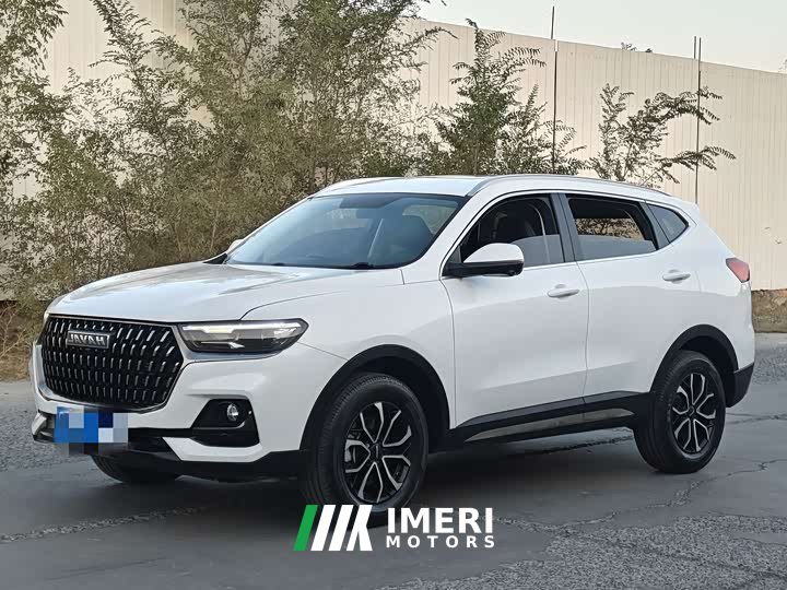 Haval H6 2023 National Trend Edition 1.5T Automatic Urban Version - ავტომობილი ჩინეთიდან