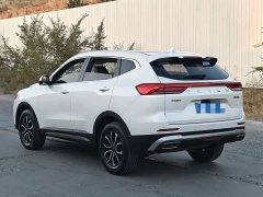 Haval H6 2023 National Trend Edition 1.5T Automatic Urban Version - ფოტო 5
