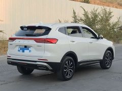 Haval H6 2023 National Trend Edition 1.5T Automatic Urban Version - ფოტო 6