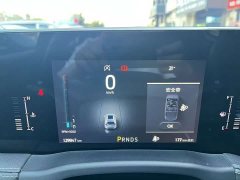Ford Edge PLUS EcoBoost 245 FWD Platinum Sharp 5-Seater - ფოტო 20