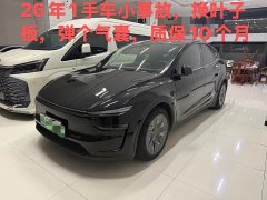 Tesla Model Y L 2025 Long Range All-Wheel Drive - ფოტო 5