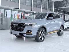 Haval H6 National Trend Edition 1.5T Automatic Champion Version - ფოტო 1