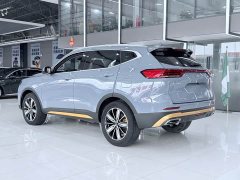 Haval H6 National Trend Edition 1.5T Automatic Champion Version - ფოტო 15
