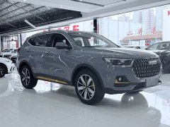 Haval H6 National Trend Edition 1.5T Automatic Champion Version - ფოტო 3