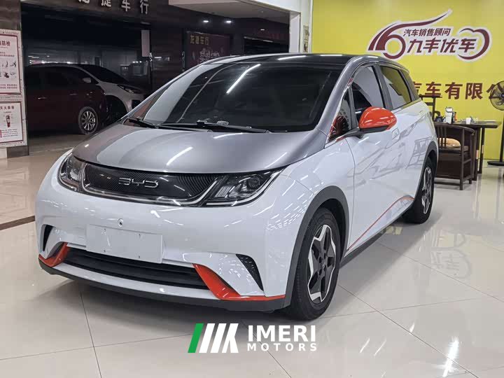 BYD Dolphin 405km Fashion Edition - ავტომობილი ჩინეთიდან