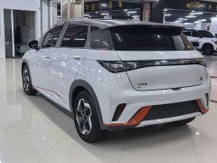 BYD Dolphin 405km Fashion Edition - ფოტო 6