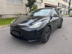 Tesla Model Y Rear-Wheel Drive - ფოტო 1