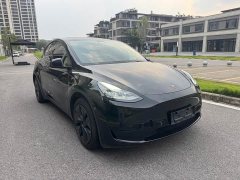 Tesla Model Y Rear-Wheel Drive - ფოტო 3
