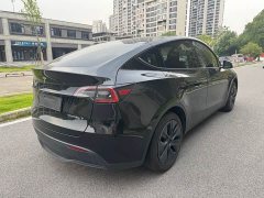 Tesla Model Y Rear-Wheel Drive - ფოტო 4