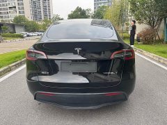 Tesla Model Y Rear-Wheel Drive - ფოტო 5