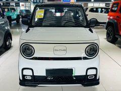 Geely Panda 2025 210km Panda Kart - ფოტო 1
