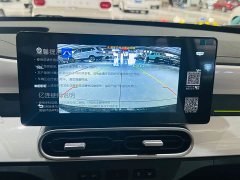 Geely Panda 2025 210km Panda Kart - ფოტო 13