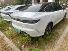 BYD Destroyer 05 Glory Edition DM-i 55KM Luxury - ფოტო 4
