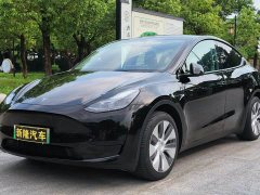 Tesla Model Y Rear-Wheel Drive - ფოტო 1