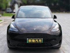 Tesla Model Y Rear-Wheel Drive - ფოტო 2