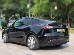 Tesla Model Y Rear-Wheel Drive - ფოტო 6