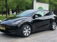 Tesla Model Y Rear-Wheel Drive - ფოტო 8