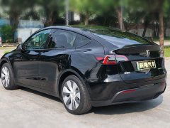 Tesla Model Y Rear-Wheel Drive - ფოტო 9