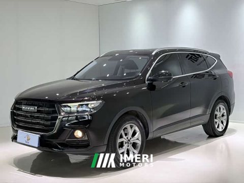 2022 Haval H6 2021 National Trend 1.5T Automatic Champion Edition - car from China