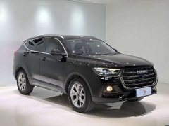 Haval H6 2021 National Trend 1.5T Automatic Champion Edition - ფოტო 3