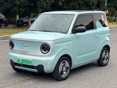 Geely Panda Mini New Spring Edition Treasure Bear - ფოტო 1