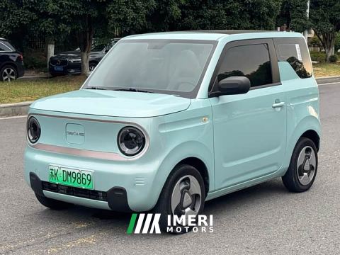 2023 Geely Panda Mini New Spring Edition Treasure Bear