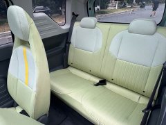 Geely Panda Mini New Spring Edition Treasure Bear - ფოტო 11