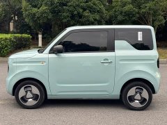 Geely Panda Mini New Spring Edition Treasure Bear - ფოტო 12