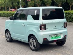 Geely Panda Mini New Spring Edition Treasure Bear - ფოტო 13