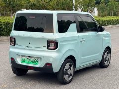 Geely Panda Mini New Spring Edition Treasure Bear - ფოტო 15