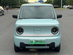 Geely Panda Mini New Spring Edition Treasure Bear - ფოტო 2