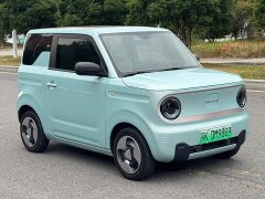 Geely Panda Mini New Spring Edition Treasure Bear - ფოტო 3