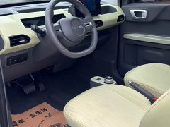 Geely Panda Mini New Spring Edition Treasure Bear - ფოტო 5
